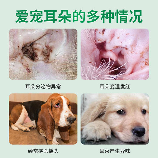 德国 cdVet 施德维特 安遁耳液 20ml（礼盒含红色滴头） 商品图1