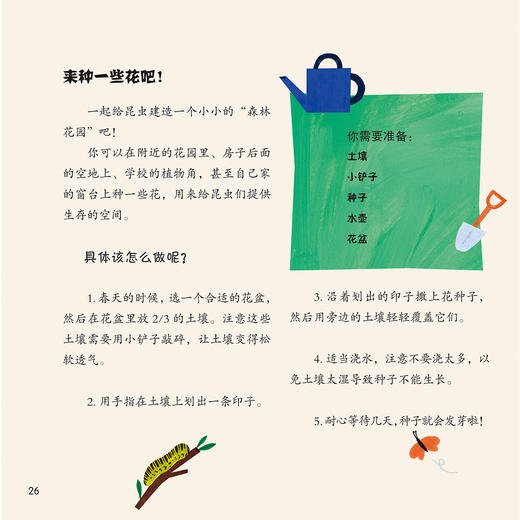 《森林四重奏》（全4册）：《叽叽喳喳的树梢》《热闹的灌木乐园》《昆虫的森林花园》《泥土里的穿行者》 商品图5