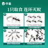 华畜杀虫饵剂强效连环灭蚁蚂蚁家用一窝端室内厨房无蟑全灭蟑螂药 商品缩略图3