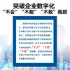 企业数字化的动因与效果：企业应对数字化转型挑战新视角 商品缩略图1