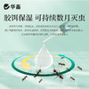 华畜杀虫饵剂强效连环灭蚁蚂蚁家用一窝端室内厨房无蟑全灭蟑螂药 商品缩略图4