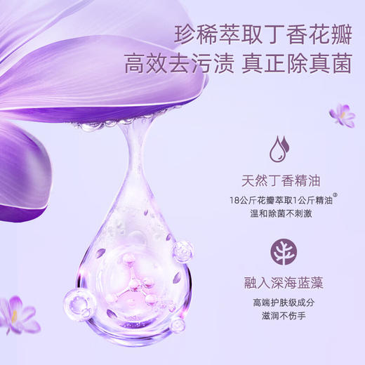 立白蜜丝丁香精萃内衣裤洗衣液310g 商品图3