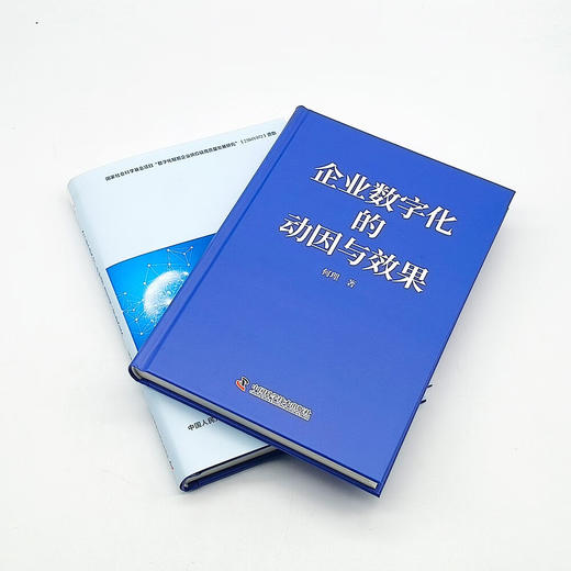 企业数字化的动因与效果：企业应对数字化转型挑战新视角 商品图4