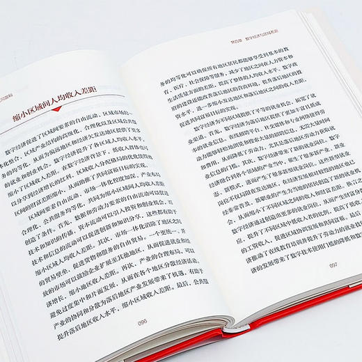 数字经济与共同富裕 商品图8