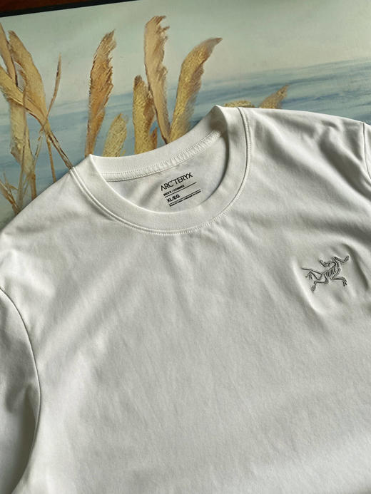 点此购买 始祖鸟春夏季三色休闲男女舒适百搭棉质短袖T恤 LL 311606 商品图8