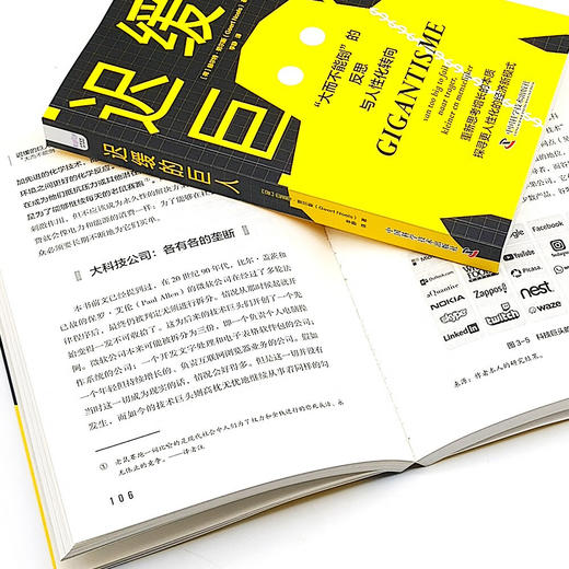 迟缓的巨人：“大而不能倒”的反思与人性化转向 商品图9
