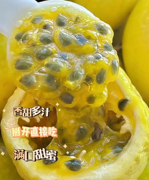【分仓直发包邮】钦蜜9号黄金百香果（带花皮）1斤装中果（单果约45-60克，每斤9-11个）（天气偏冷，口感偏酸，介意慎拍） 商品图1