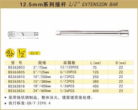 波斯 12.5mm系列接杆	10"/250mm	BS363810
