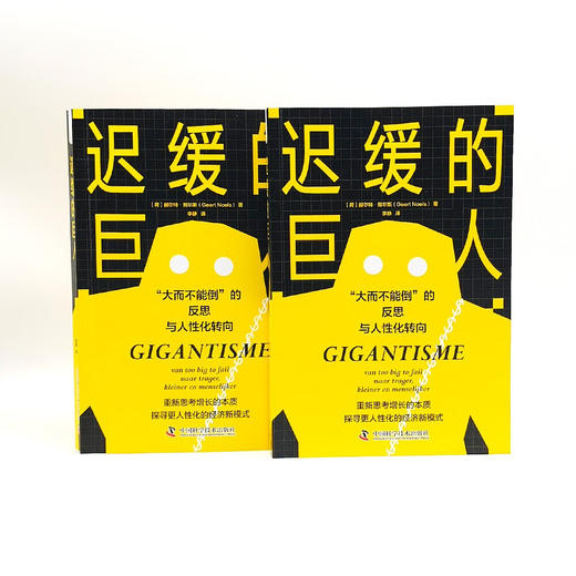 迟缓的巨人：“大而不能倒”的反思与人性化转向 商品图7