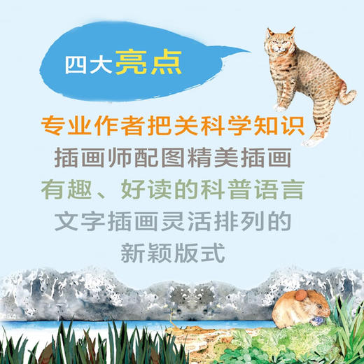 进化（插画版进化论！一本关于进化的纸上博物馆！） 商品图1