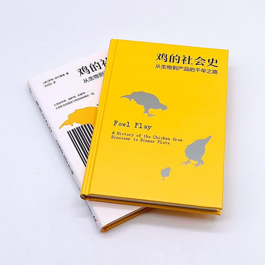 鸡的社会史：从生物到产品的千年之路（从星君到神鸟再到餐桌，鸡与人的爱恨史！） 商品图5