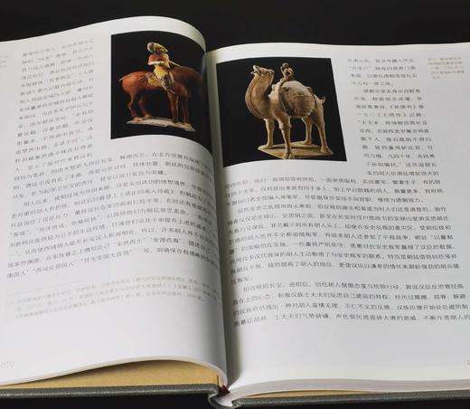 “胡汉中国与外来文明”丛书：《交流卷：绵亘万里长》《艺术卷：拂菻花乱彩》《胡佣卷：绿眼紫髯胡》《民族卷：胡马度阴山》《宗教卷：番僧入华来》，16开，精装，葛承雍著，三联书店2019年一版一印 商品图6