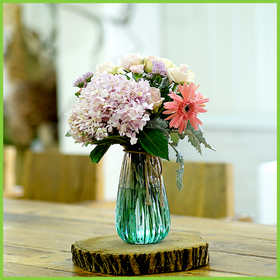 繁花系列丨每周一花