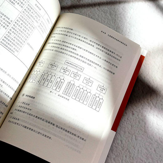 大规模因材施教的课程模式 新质课程文化丛书 林俊红 课程设计 商品图12