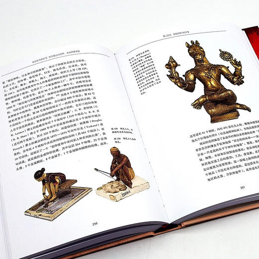 来自东方的珍宝（精装全彩典藏版）：东印度公司自然、文化探索简史（1600-1874） 商品图9