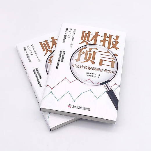 财报预言：用会计数据预测企业发展（读懂财务报表，看清企业发展趋势！） 商品图4