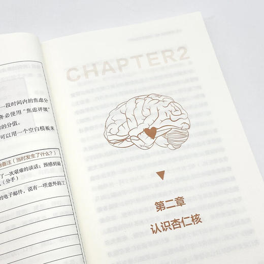 【樊登推荐】重塑杏仁核：情绪修复脑科学（一套科学的大脑训练指南！训练强大内心的自救手册！） 商品图9
