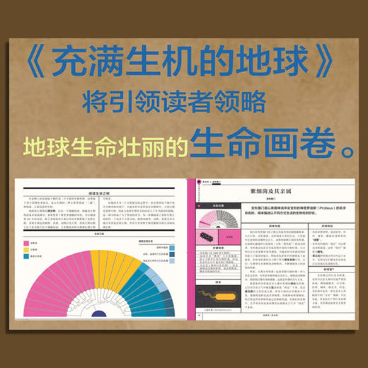 充满生机的地球（探索地球生物多样性的科普入门书！） 商品图4