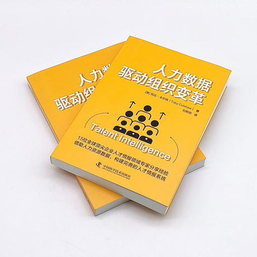 人力数据驱动组织变革：从零构建完善的人才情报体系 商品图5