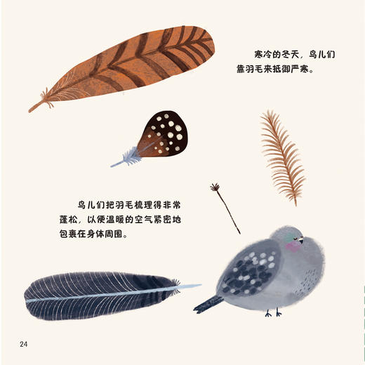 《森林四重奏》（全4册）：《叽叽喳喳的树梢》《热闹的灌木乐园》《昆虫的森林花园》《泥土里的穿行者》 商品图10