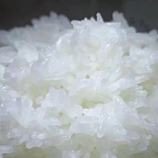 【超级好评，口感好】五常中科发5号长粒香大米/稻花香2号大米10斤装，工厂直发，稻米现磨现卖，口感喷香有嚼头。全国包邮 商品图3