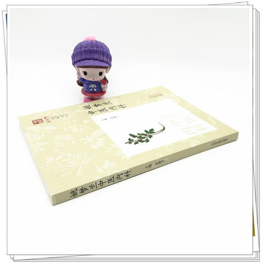 姚梦兰中医内科 俞建卫 主编 中国中医药出版社 《浙派中医丛书》专题系列 商品图2