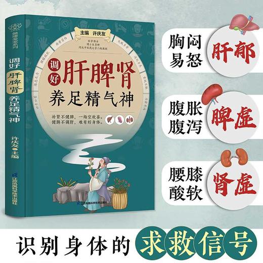 调好肝脾肾  养足精气神 商品图2