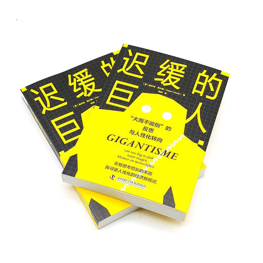 迟缓的巨人：“大而不能倒”的反思与人性化转向 商品图5