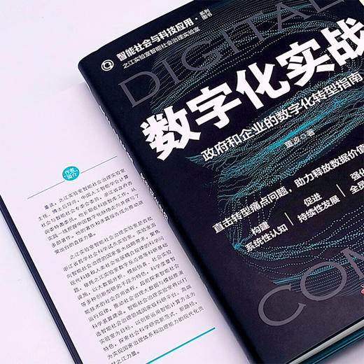 数字化实战：政府和企业的数字化转型指南  智能社会与科技应用系列图书 商品图6