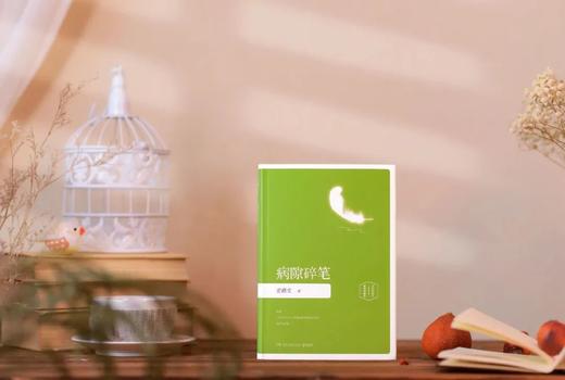 《史铁生文集》（吴冠中插图珍藏版·全5册） 他的文字如一束光，照亮无数人~ 商品图7