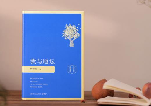 《史铁生文集》（吴冠中插图珍藏版·全5册） 他的文字如一束光，照亮无数人~ 商品图8