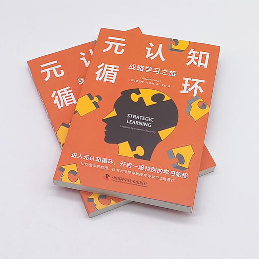 元认知循环：战略学习之旅（用元认知优化思维方式，打破学习困境！） 商品图5