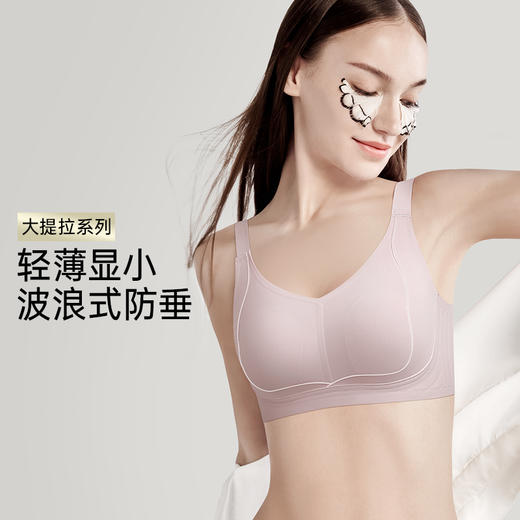 【298选3】Z1-【B-D杯】【大胸提拉 防下垂】运动无痕内衣女收副乳调整型大胸显小文胸罩  晚风吟吟/提拉舒云 商品图0