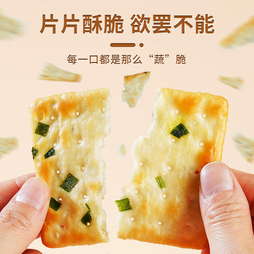 轻食主义新宠 奇亚籽饼干无糖配方 无糖奇亚籽梳打饼干20包*25g海盐味咸味饼干 咸香酥脆 商品图0