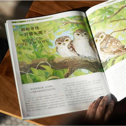 少年新知2025年全年订阅共12期（下单月即为起订月）（AY） 商品图2