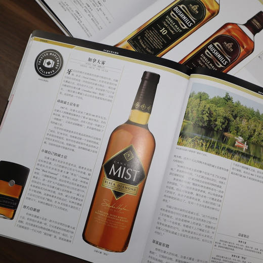 DK威士忌大百科 商品图8