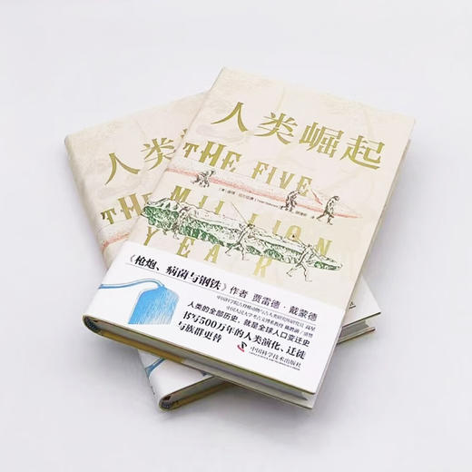 人类崛起：书写500万年的人类演化、迁徙与族群更替 商品图6