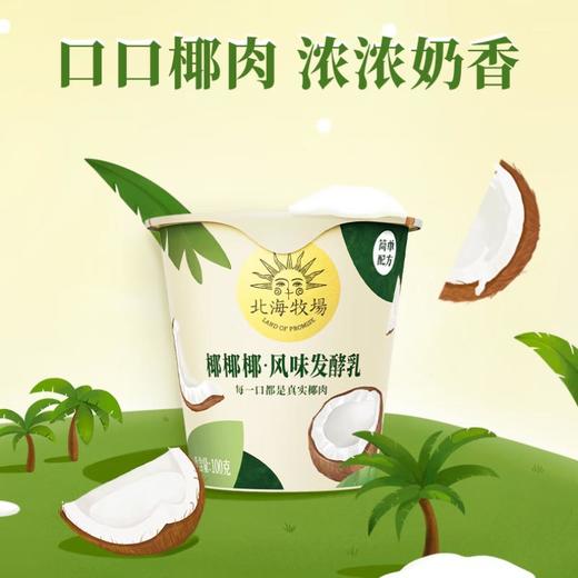 北海牧场椰椰发酵乳酸奶 100g*3/组 商品图4
