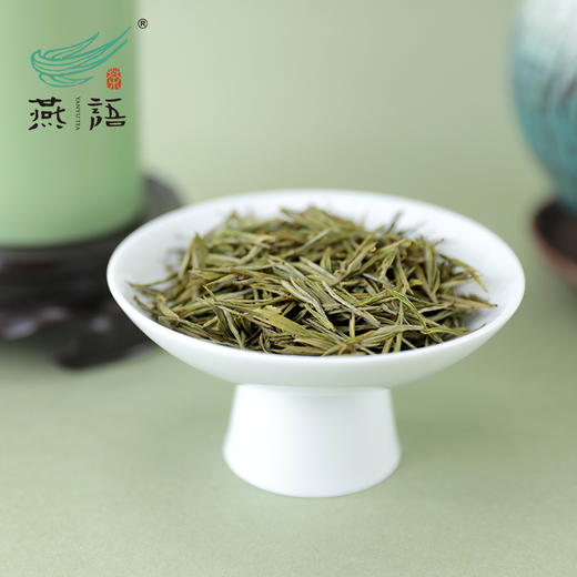 2026年燕语安吉白茶50g（尝鲜装） 商品图2