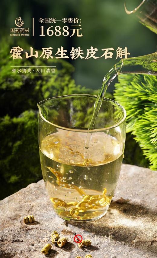 国药药材-霍山原生铁皮石斛 商品图5