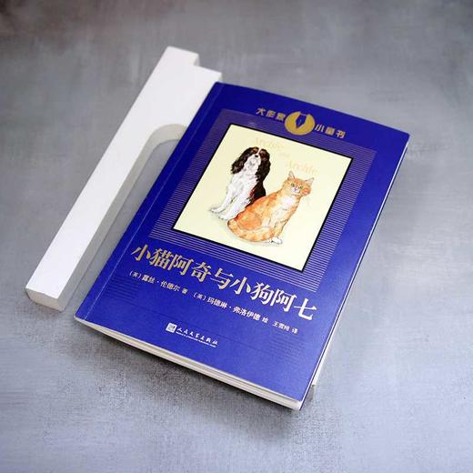 小猫阿奇与小狗阿七 商品图2