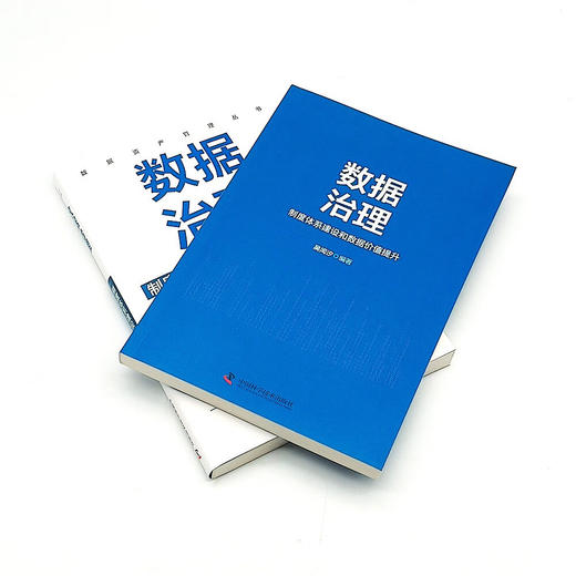 数据治理 : 制度体系建设和数据价值提升  数据资产管理丛书 商品图6