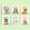 《你好！动物宝宝》（全6册） 商品缩略图1