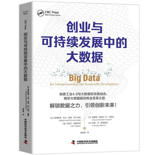 创业与可持续发展中的大数据：揭示大数据驱动商业变革之道 商品图5