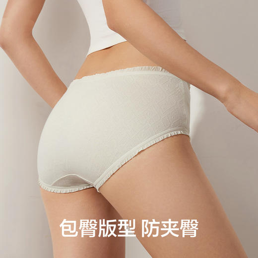 有棵树棉质中腰7A抗菌女士内裤3条装-U3133 商品图5