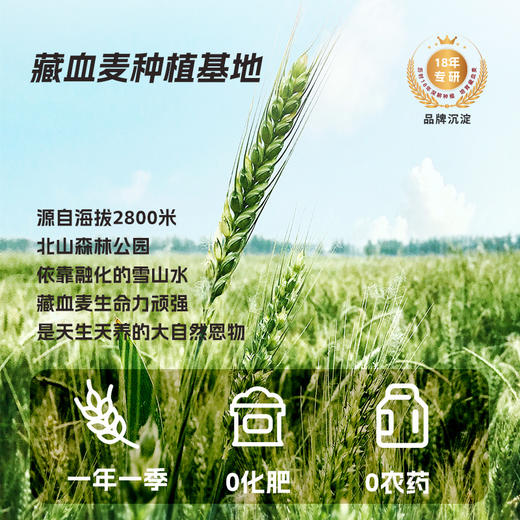 金谷力β葡聚糖藏血麦片390克盒装 商品图4