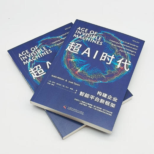 超AI时代：构建企业智能平台新框架 商品图6