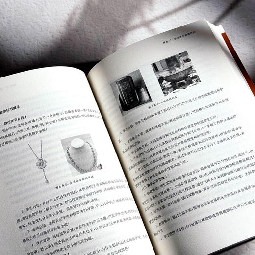 多模态学科实践 新质课程文化丛书 学科课程设计 初中案例 商品图10