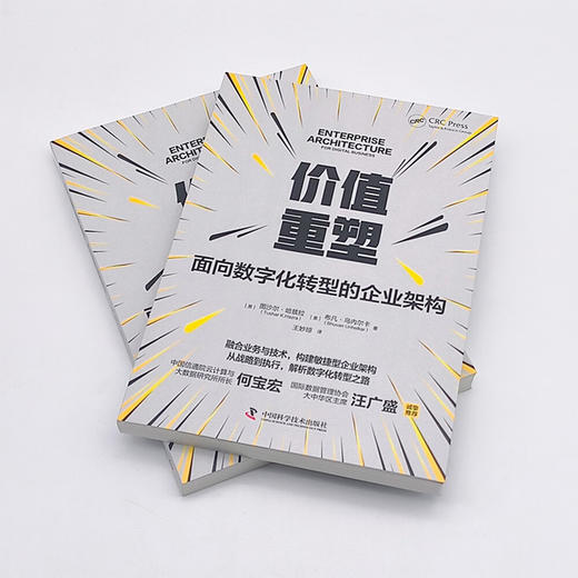价值重塑：面向数字化转型的企业架构 商品图3
