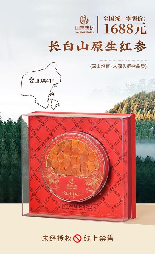 国药药材-长白山原生红参片 商品图5